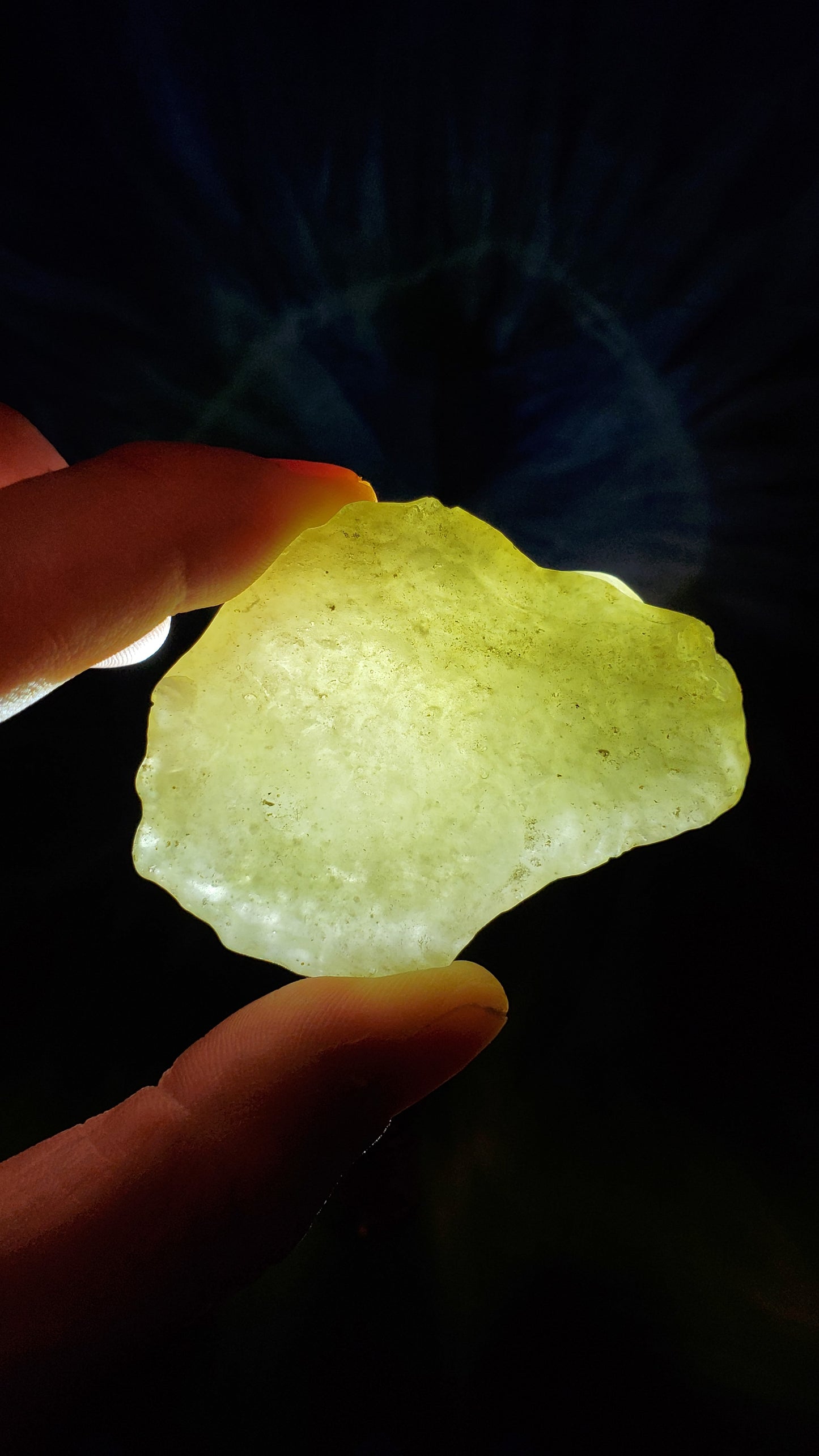 Libyan Gold Tektite