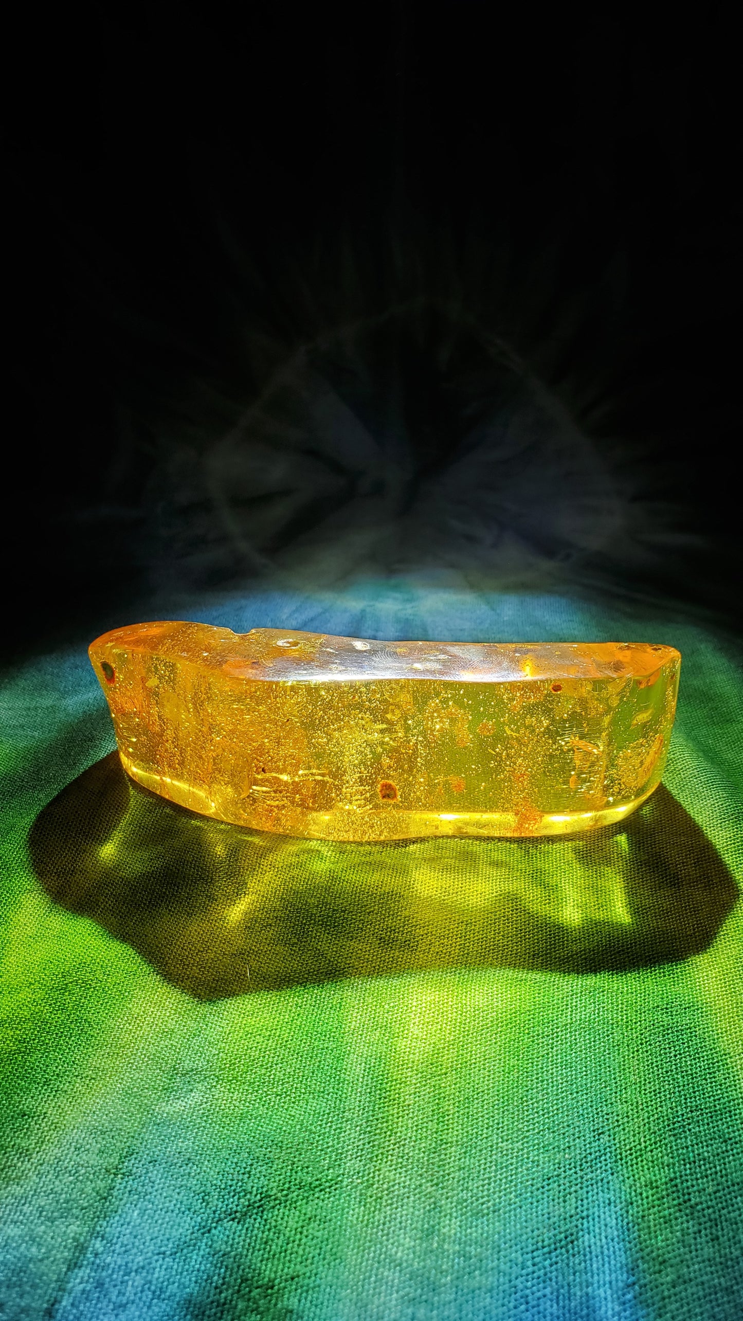 Baltic Amber with Insects
