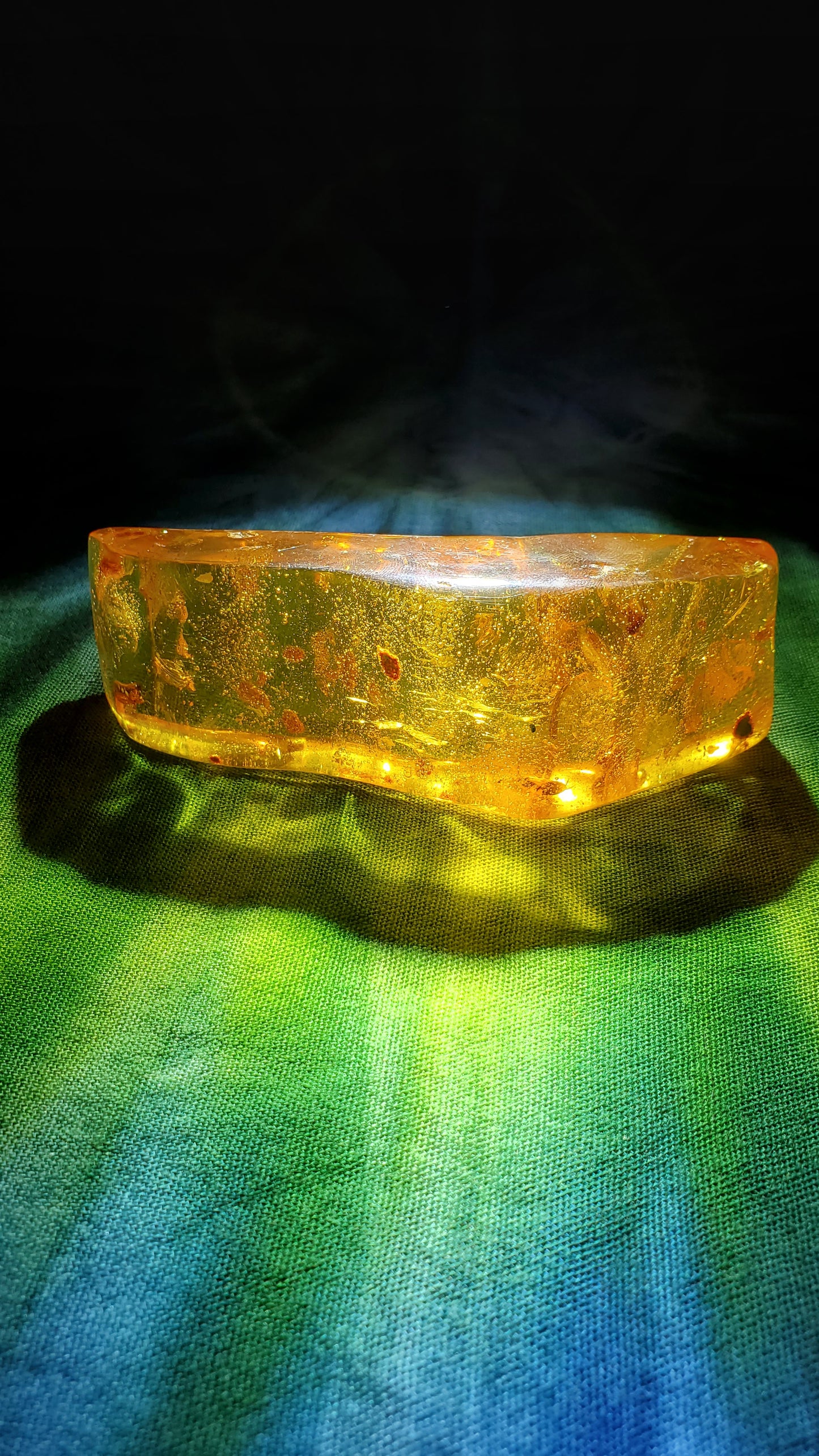Baltic Amber with Insects
